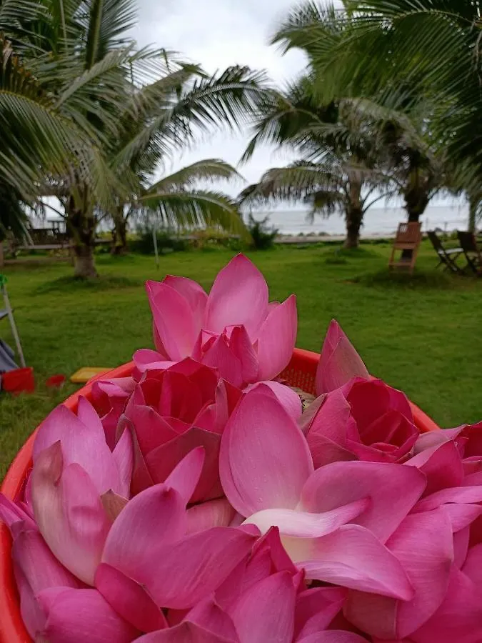 Apartment Ferienwohnung Nghi Duong Bien Ngoc Phan Thiet
